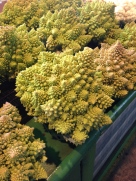 This is Romanescu - a kind of cauliflower